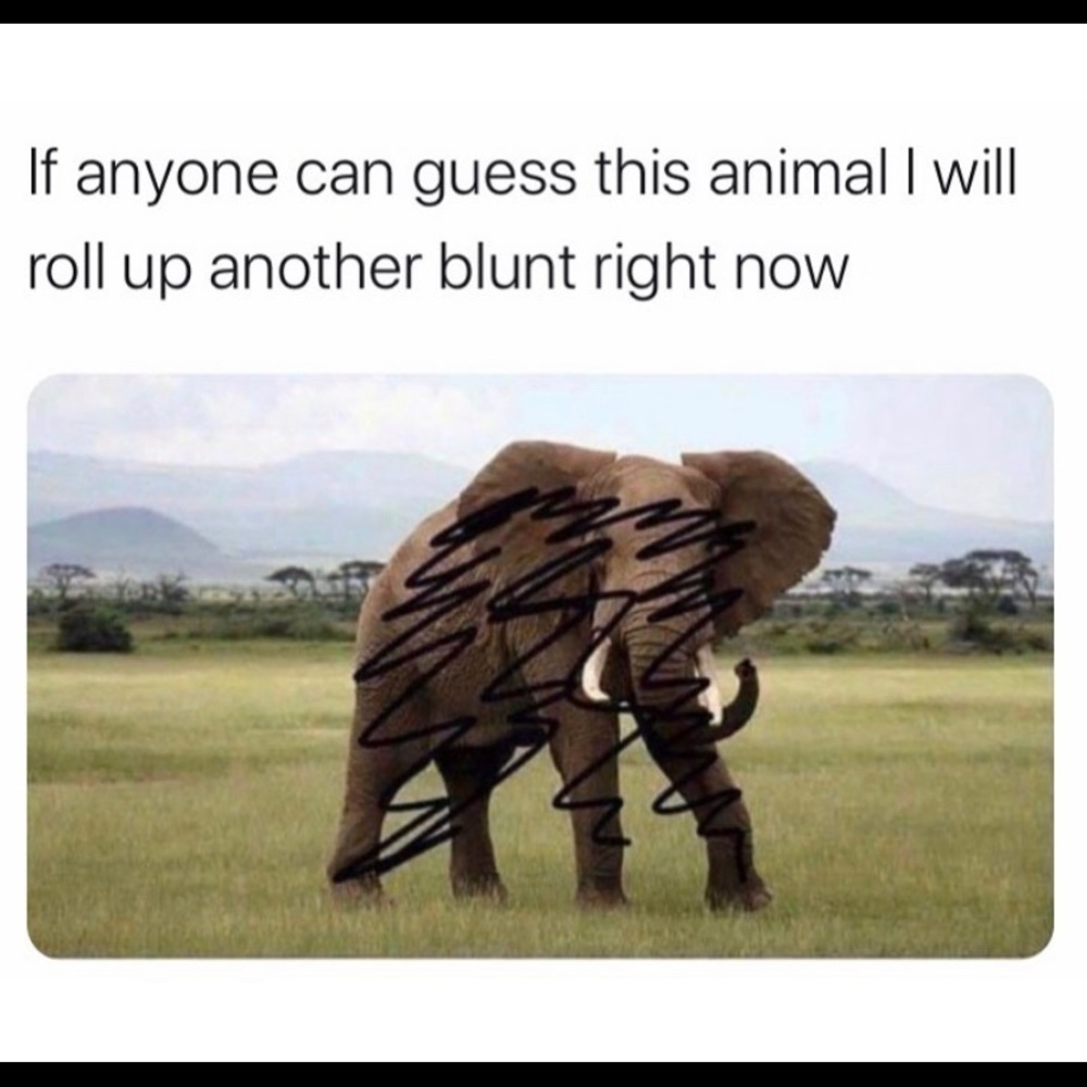 Meet your Posher, Edward